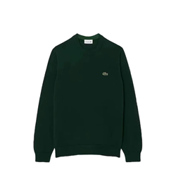 PULLOVER A GIROCOLLO IN LANA VERDE 